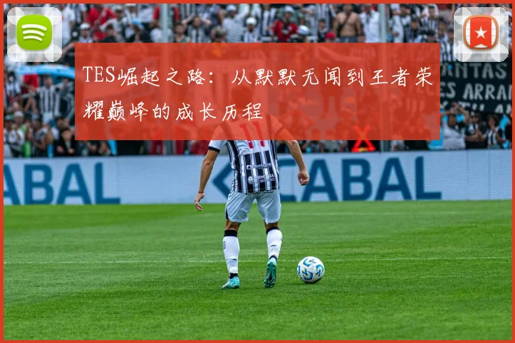 TES崛起之路：从默默无闻到王者荣耀巅峰的成长历程