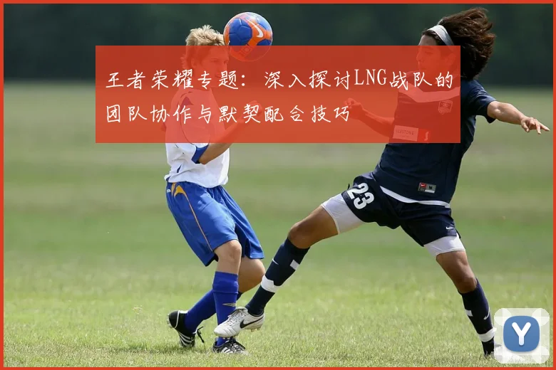 王者荣耀专题：深入探讨LNG战队的团队协作与默契配合技巧
