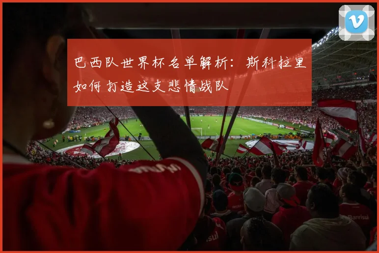 巴西队世界杯名单解析：斯科拉里如何打造这支悲情战队
